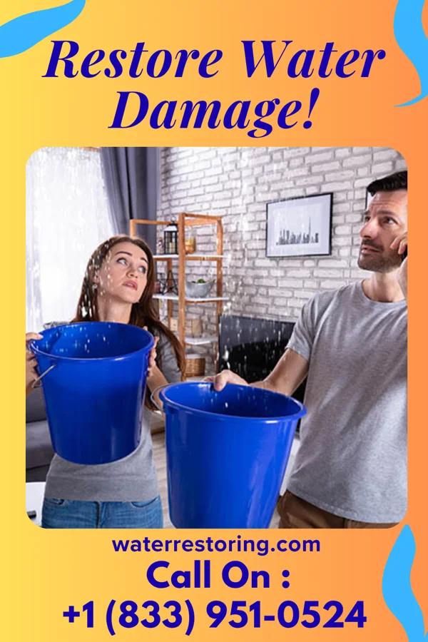 water restoration Platinum Restoration Force Canton