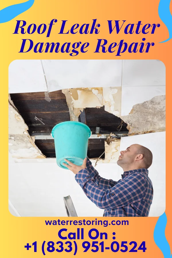 Roof Leak Water Damage Repair in Canton, TX