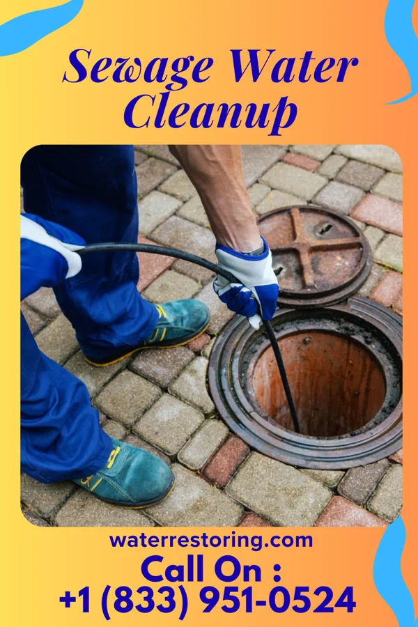 Sewage Water Cleanup in Canton, TX